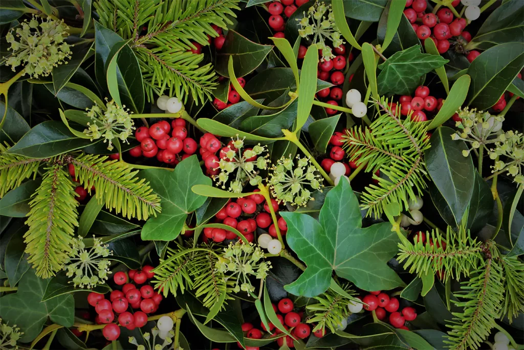 holiday greenery