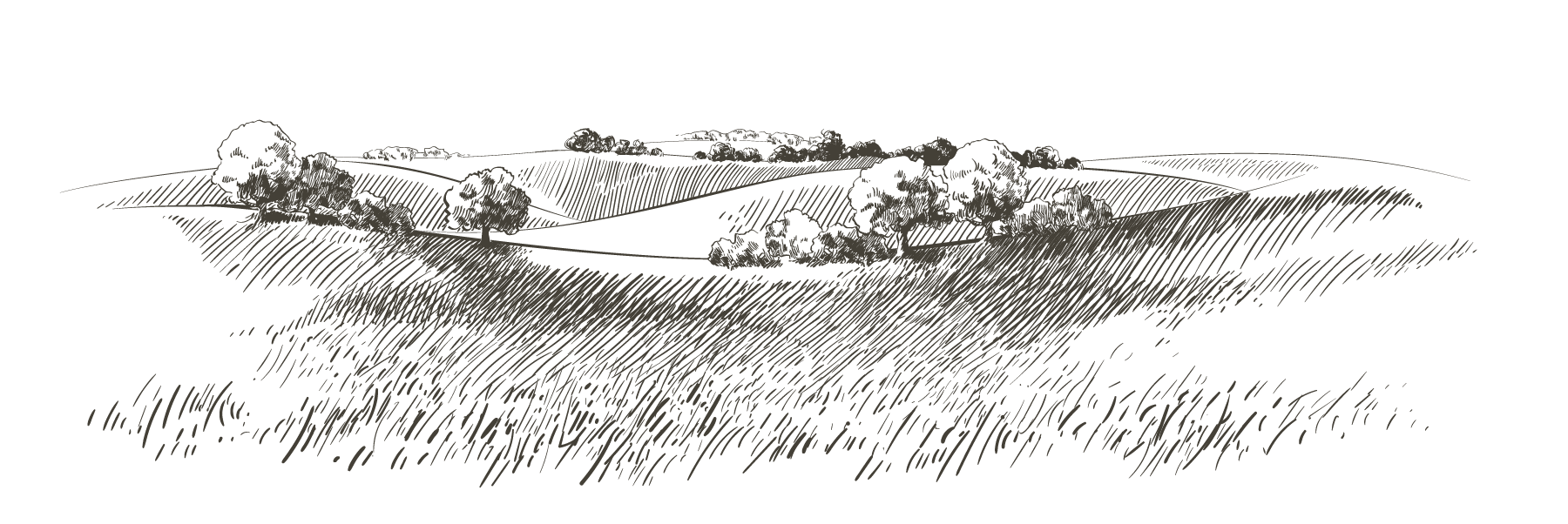 farm illustration