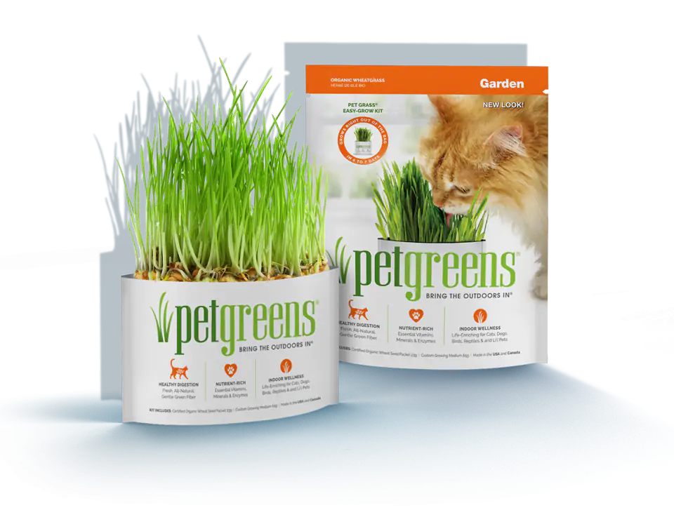 Self Grow Cat Grass