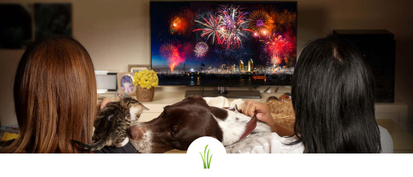 family watching fireworks with pets