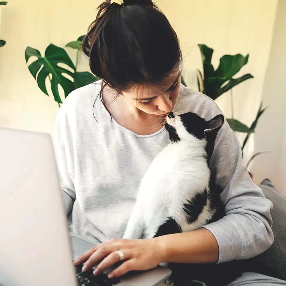 cat in owners lap at computer