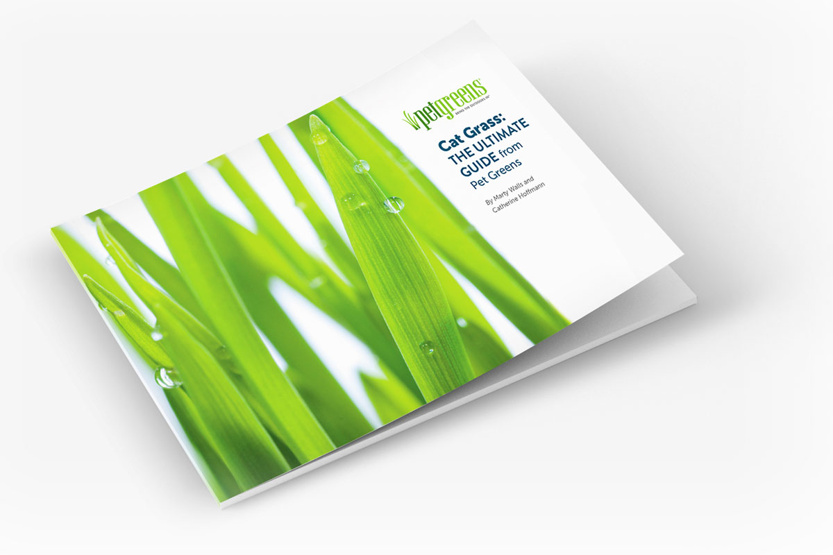 Pet Greens Book called Cat Grass: The Ultimate Guide