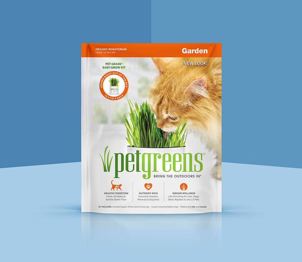 self grow cat grass wheatgrass package