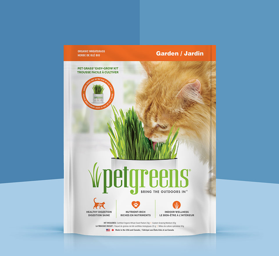 wheat grass kit
