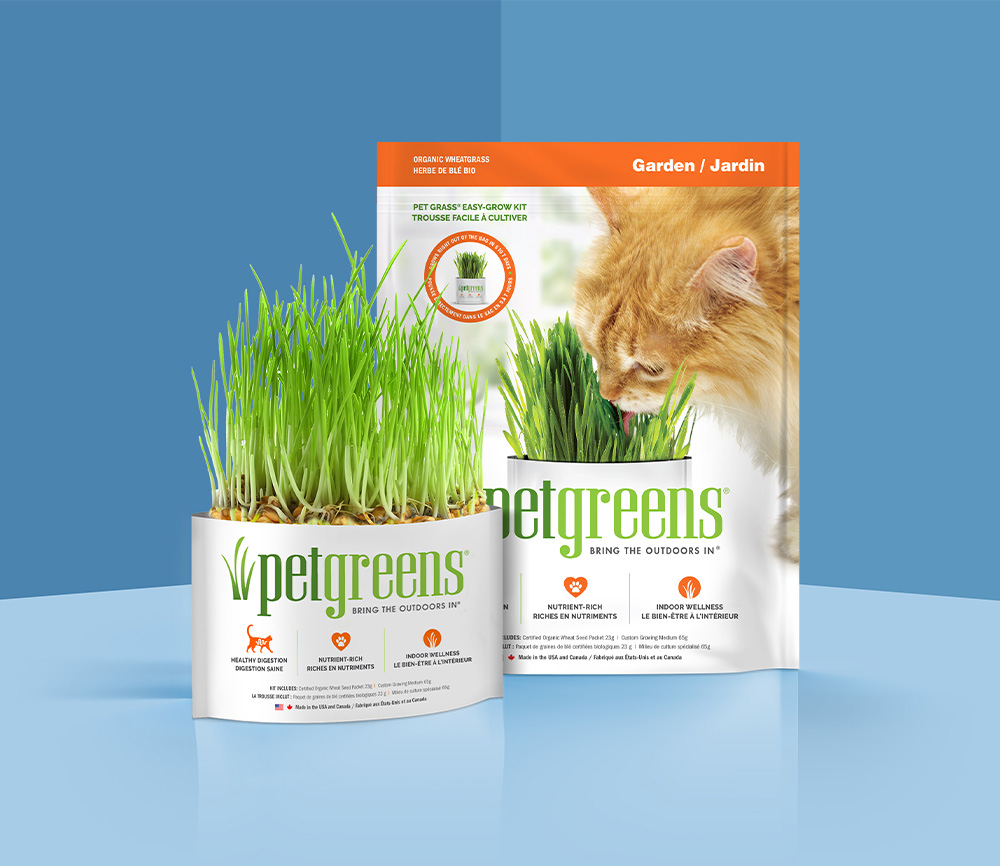organic wheat grass packages