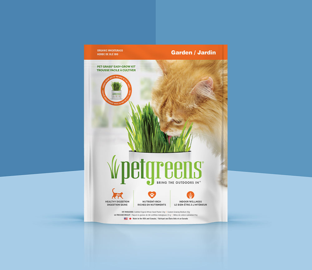 wheat grass kit