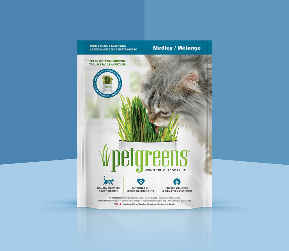 medley easy grow kit