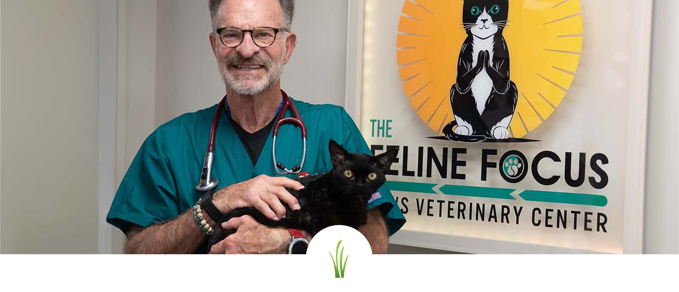 Dr. Randy holding a cat