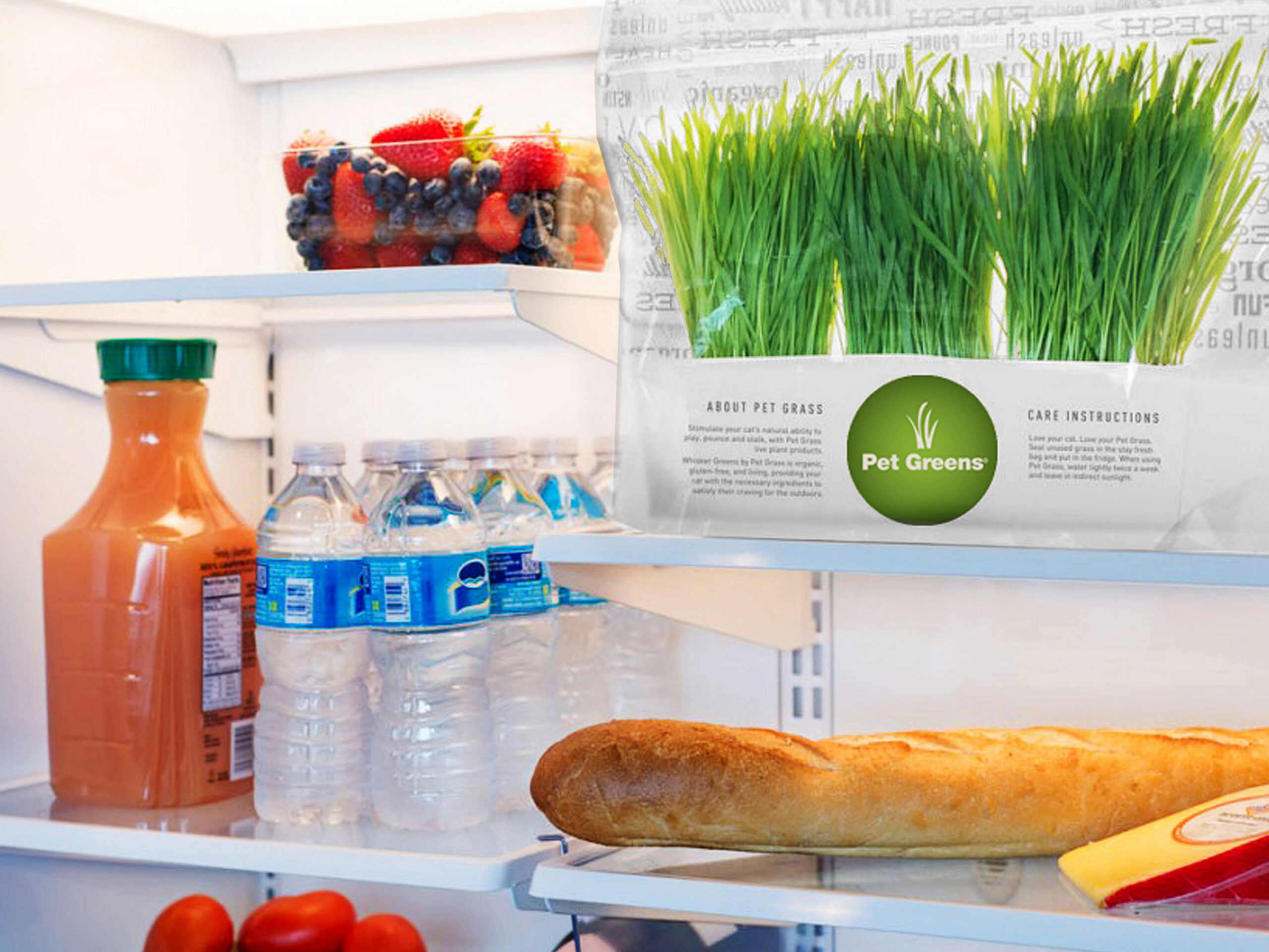 Stay Fresh Bag in Fridge