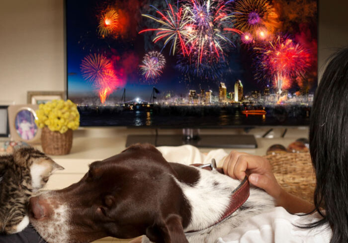 family watching fireworks with pets
